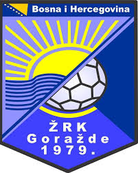 team logo